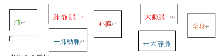 血液の流れ